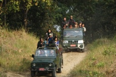 thumbs_jungle-safari-chitwan